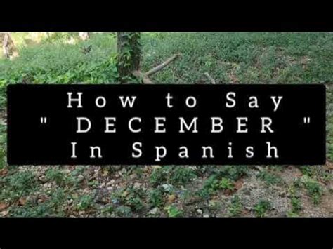 how to say december in spanish.